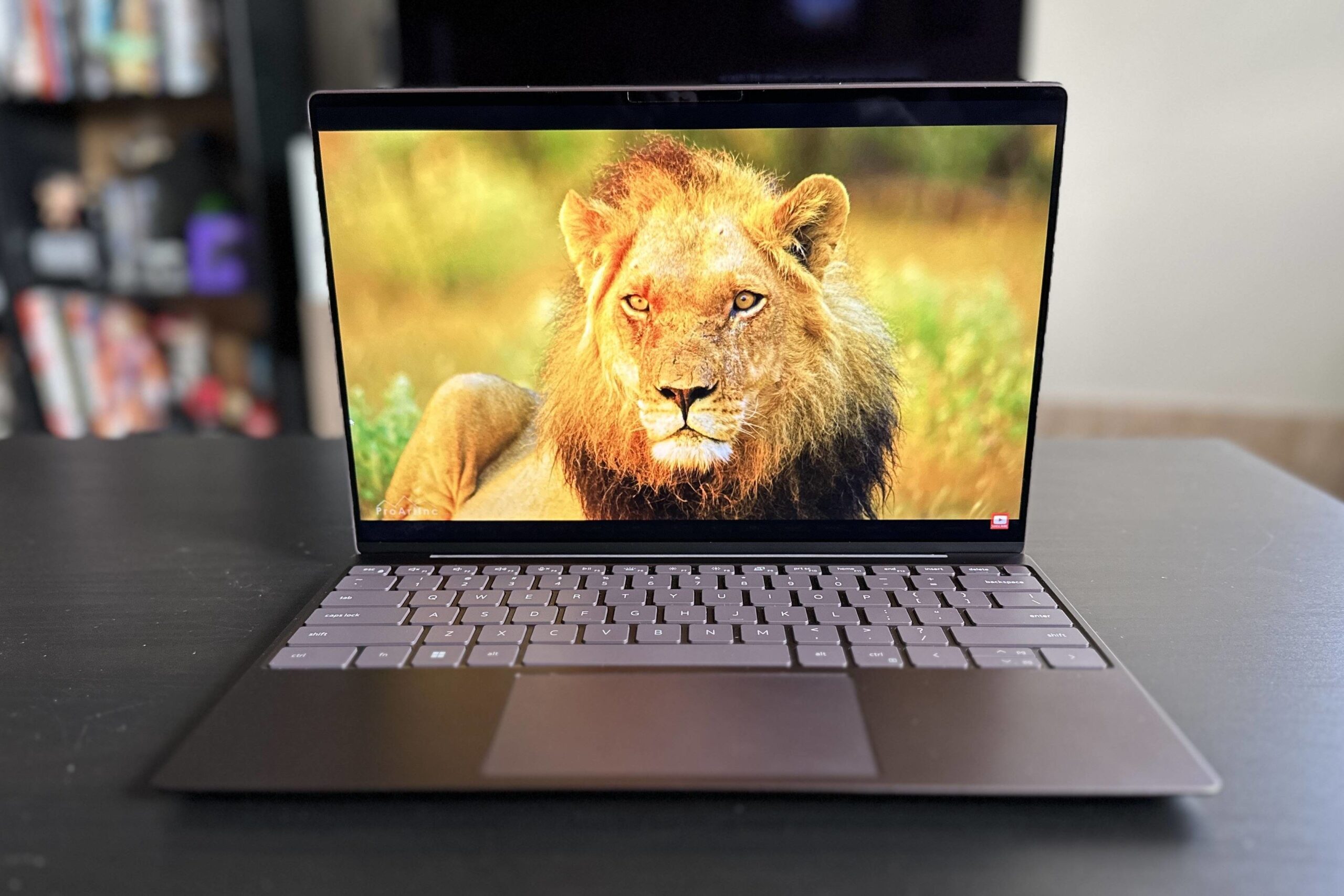Dell XPS 13 - Guide to Finding the Best Laptop