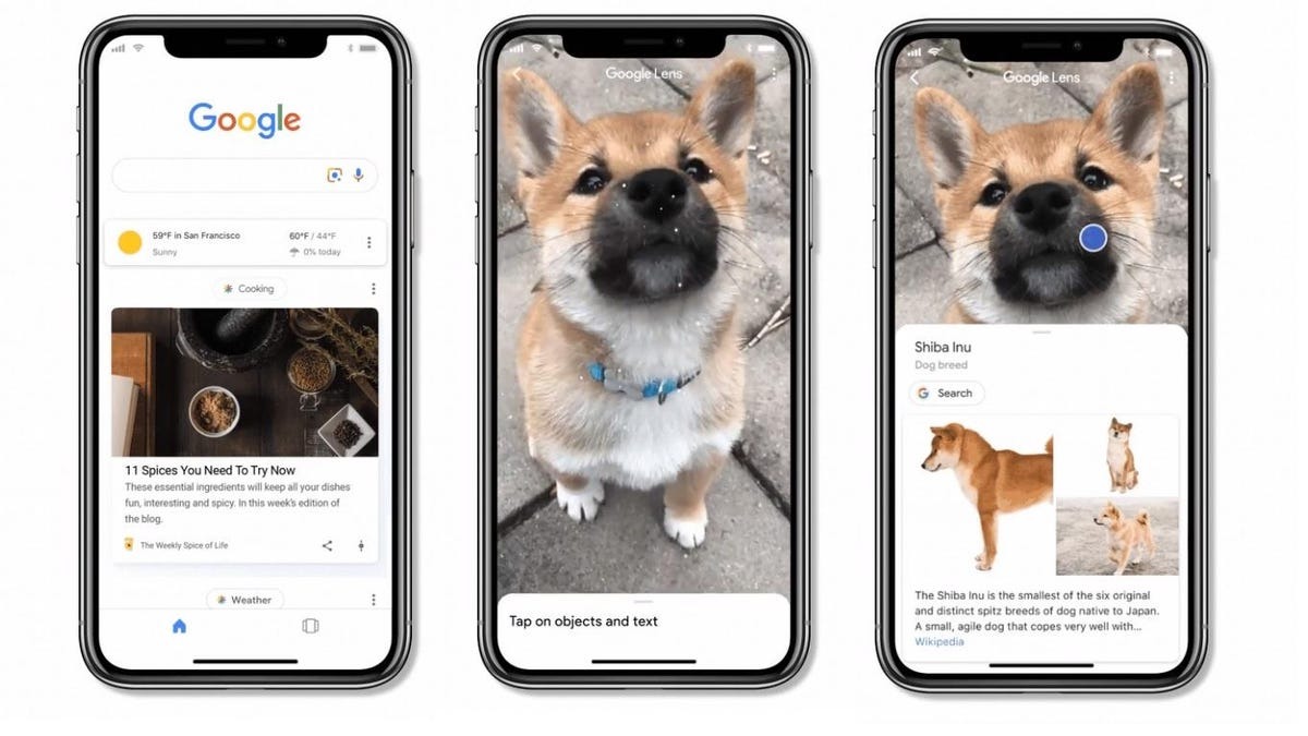 Google Lens App - CNET