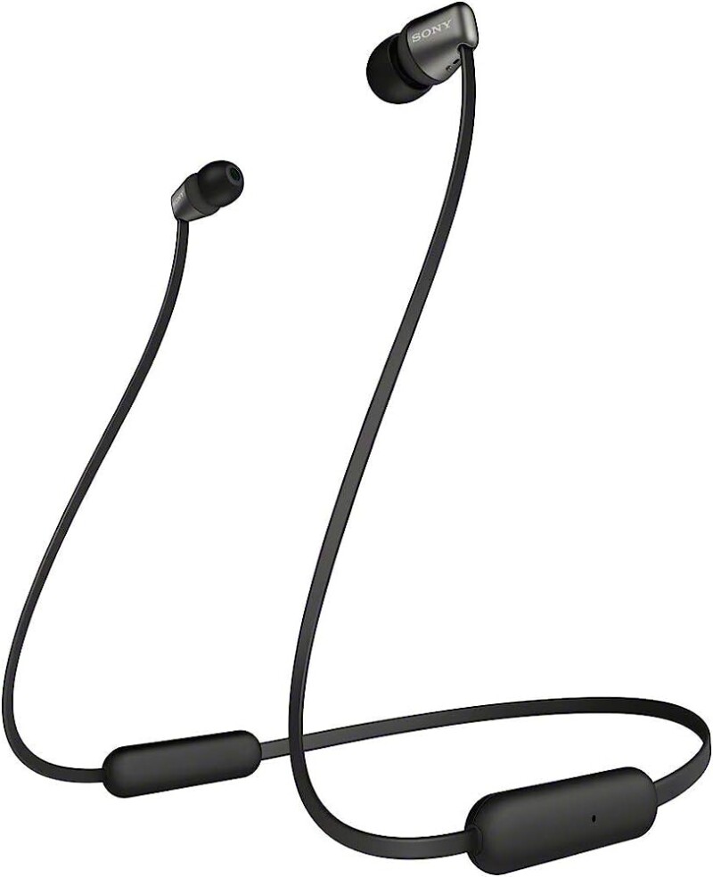Sony WI-C310 Wireless - Wireless Earbuds with a Neckband