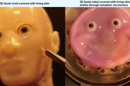 Living Skin