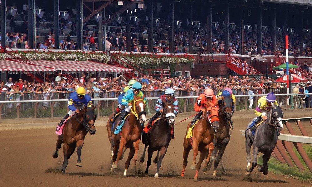 Your Guide to Horse Betting: Mastering the Art of Equine Wagering