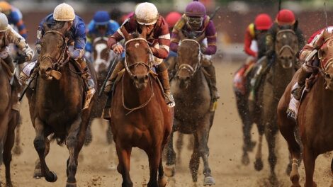 Horse Online Betting