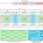 MIT Researchers Unveil Photonic Processor for Faster, Energy-Efficient AI