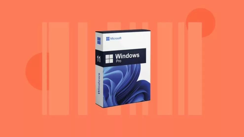 Windows 11 Pro